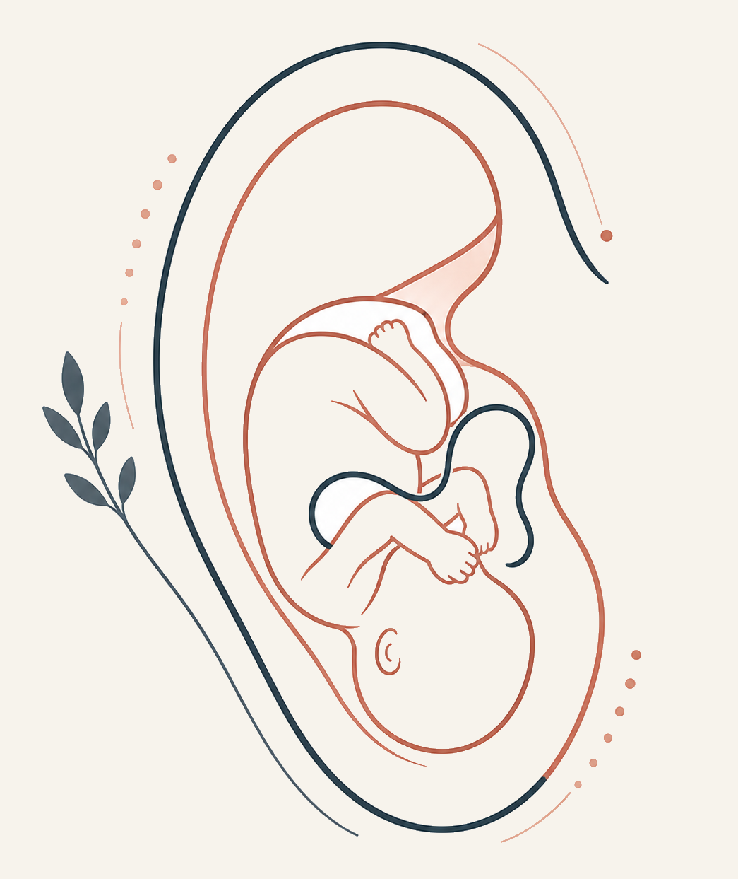 Carte auriculaire